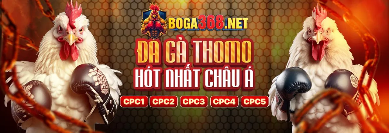Đá Gà Trực Tuyến 555win500