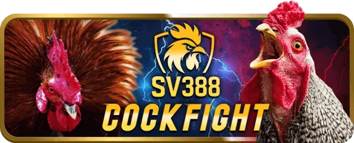 Biểu tượng cá cược có trách nhiệm tại 555win500